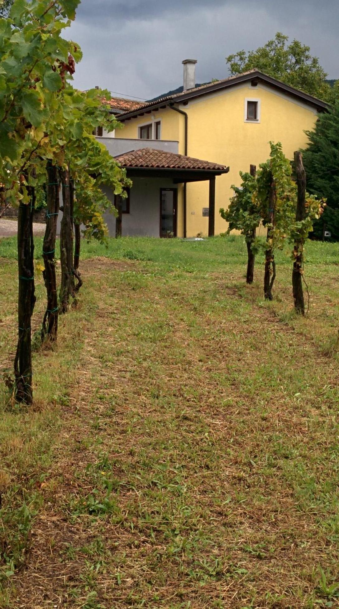 Small House In Vipava Valley エクステリア 写真