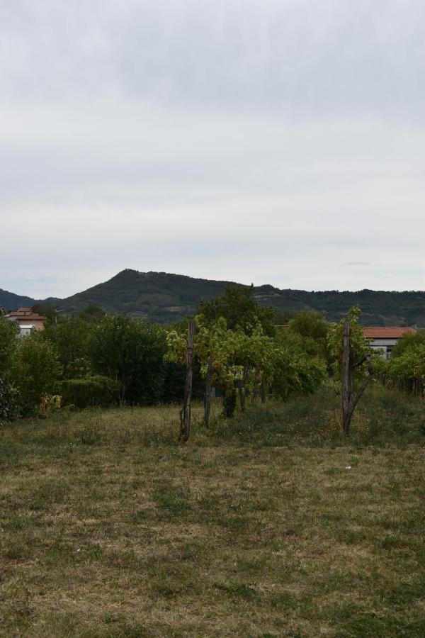 Small House In Vipava Valley エクステリア 写真